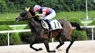 「ハルウララ再現を」ルメール騎手に手紙　121連敗馬に熱烈ファン