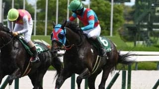 【阪神JS結果】ネビーイームが人気2頭の一騎打ちを制し重賞初V