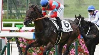 【阪神5R新馬戦結果】キングマン産駒グッドピースが突き抜け快勝