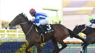 【競馬予想】オールカマーで注目の「中山・2200ｍ」に強い血統は？　人気馬を脅かしそうな２頭をピックアップ