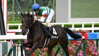 【野路菊S結果】アランカールが3馬身半差の完勝で無傷2連勝 母はオークス馬シンハライト