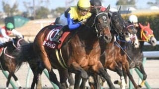【オールカマー予想】近10年は人気馬に良績が集中！ 前走大敗でリズムを崩している馬には要注意