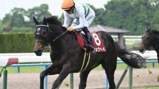【神戸新聞杯予想】阪神芝2400mでの開催は父サンデー系の馬に良績が集中！ 父ミスプロ系の馬が苦戦傾向にある要因とは