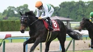 【神戸新聞杯前日オッズ】ショウヘイとエリキングが2.8倍で1番人気