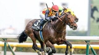 【オールカマー前日オッズ】ドゥラドーレスが3.1倍で1番人気