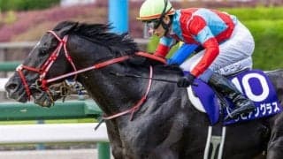 中山芝は圧倒的に内＆前有利 オールカマーはリビアングラスの押し切りだ