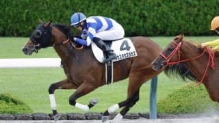 【新馬/阪神3R】タカスタカスタカスがデビューV…高須院長所有馬