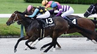 【大阪スポーツ杯】3連単562万の大波乱…11番人気スターペスカオリが波乱を演出