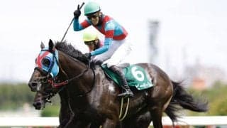 【阪神JS】ネビーイームが障害重賞初制覇