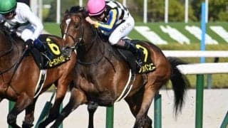 【AI予想・神戸新聞杯】不安あった前走は参考外！ ガラリ一変に期待できる人工知能の本命馬