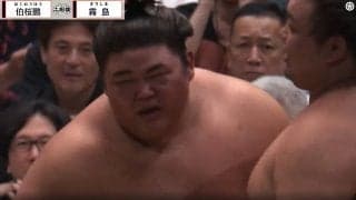 「腕がヤバイ」「コブみたいになってる」人気力士の“異変”に騒然 元若乃花「めっちゃ痛いでしょうね…怖いですね」心配顔