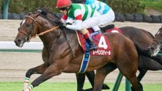 【オールカマー予想】過去10年で6勝 活躍目立つ好走データとは