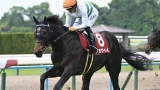 【神戸新聞杯予想】菊花賞切符を懸けたトライアル 操作性の高さがポイントに