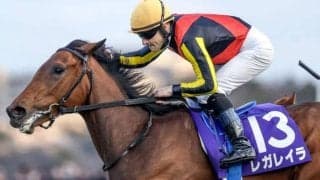 【オールカマー予想】実力馬にとって有利な舞台 瞬発力と脚力がカギに