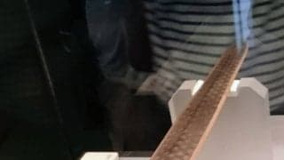 Eｰ1選手権で感じた｢恐るべし、中国！｣(1)灼熱の中国三大炉で2500年前の｢臥薪嘗胆｣越王の銅剣に震える