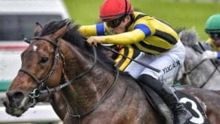 【ムーンライトHC】全姉は名牝ソウルスターリング シャイニングソードがオープン入りなるか