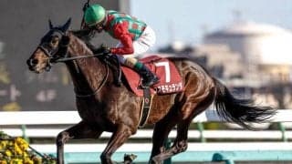 【オールカマー予想】中山同距離重賞リピーターを探せ？ 過去データから探るGIIオールカマー