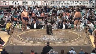 「大銀杏デカっ」「思わず二度見した」194センチ巨漢力士、立派な大銀杏にファン驚嘆