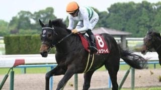 神戸新聞杯は速い上がりの決着が濃厚 ショウヘイが堅軸だ