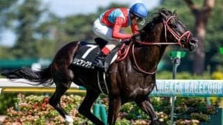 オールカマー当日の中山芝は前有利 リビアングラス＆ホーエリートに展開利あり