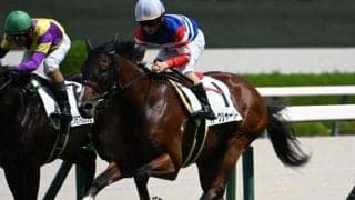 【阪神5R新馬戦結果】モズアスコット産駒バークシャーシチーが直線一気でV