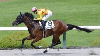 【新馬/阪神6R】ボクマダネムイヨがデビュー戦を快勝