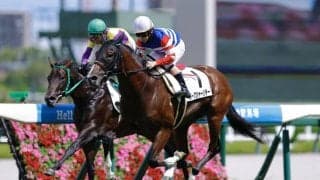 【新馬/阪神5R】8番人気の伏兵バークシャーシチーが差し切る