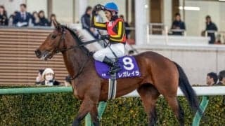 【オールカマー・馬体重】レガレイラは472kg(-6)、ホーエリートは472kg(-8)