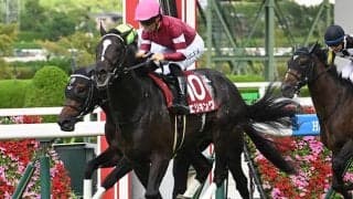 【神戸新聞杯結果】エリキングが外から差し切りV！ 復活の重賞2勝目