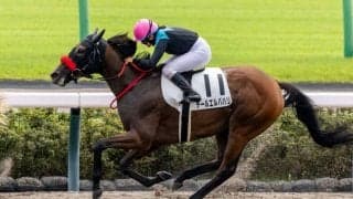 【中山1R】小林美駒騎乗 デールエルバハリがハナ差V