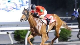 【高知・ミラク特別】グレートヒエン鮮やか逃げ切り…1番人気ミニョンは3着