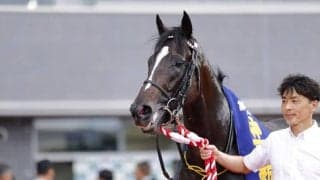 WIN5は1万3487票的中…神戸新聞杯はエリキングが復活して