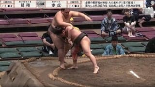 一体、何が？ 小兵が勝ったと思ったら…“わずか数秒”の物言い協議 「行司よく見ていたね」ファン納得の結末