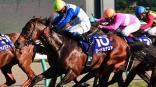 スプリンターズSを連覇した調教師たち 今年は杉山晴紀調教師が史上6人目へ