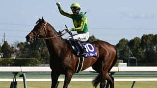 【スプリンターズS見どころ】充実期を迎えたサトノレーヴを狙う