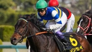【シリウスS見どころ】ジンセイの重賞初制覇に期待