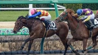 【シリウスS想定騎手】テーオーパスワードは松山弘平騎手、ジンセイは川田将雅騎手