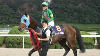 【先週のJRA抹消馬】JpnI馬タガノビューティー、ダート短距離で活躍のルクスメテオールなど