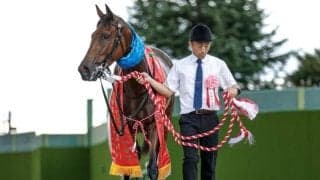 【オールカマー】売上は70億1229万2200円で昨年より約6.8億円増加