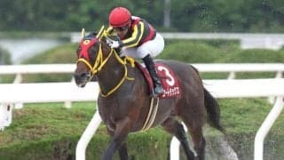 【浦和・オーバルスプリント注目馬】中央・地方から実力拮抗の好メンバー集結 飛躍を誓う快速馬による戦い