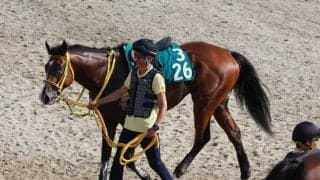 大阪杯勝ち馬ジャックドールの全弟 クラウンインジエアが土曜阪神で初陣/関西馬メイクデビュー情報