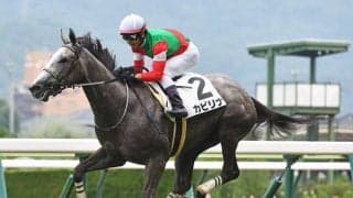 【AI予想・スプリンターズS】秋のスプリント王決定戦はコース替わりが鍵！ 本命候補は芝1200mで安定感が光る3頭