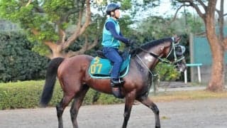 おばにGI・9勝のアーモンドアイ 日曜中山で初陣迎えるエピックフライト/関東馬メイクデビュー情報