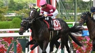 母は豪G1クイーンズランドオークス馬 良血エリキングを血統で振り返る