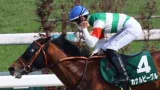 【シリウスS展望】データから優位な3歳馬カナルビーグルに注目