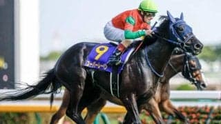 豪リーディングサイアー6回獲得 種牡馬で一大勢力を築いた「サートリストラム」を深堀り