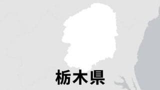 文星芸大付、栃木工などシード3校が8強　秋季栃木県高校野球大会