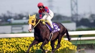 スプリンターズS着差ランキングTOP5 1位タイは4馬身差の圧勝