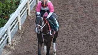 バルセシートなど、先週の入厩情報/栗東トレセンニュース