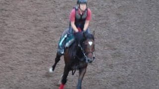 マテンロウゼロなど、先週のゲート試験/栗東トレセンニュース